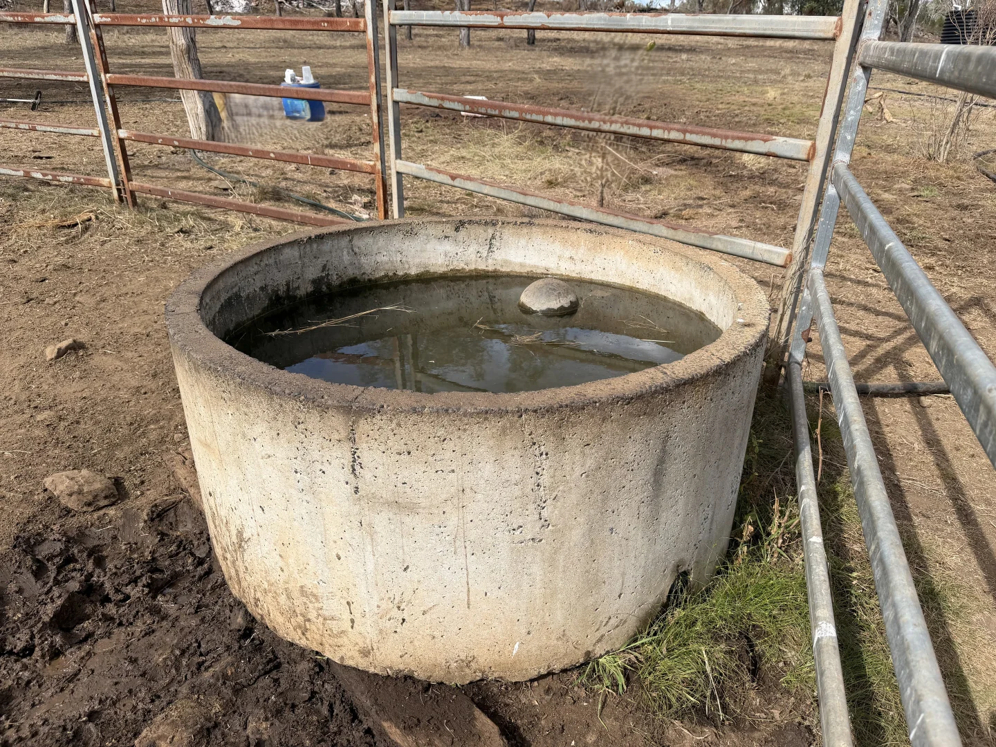 Image 14