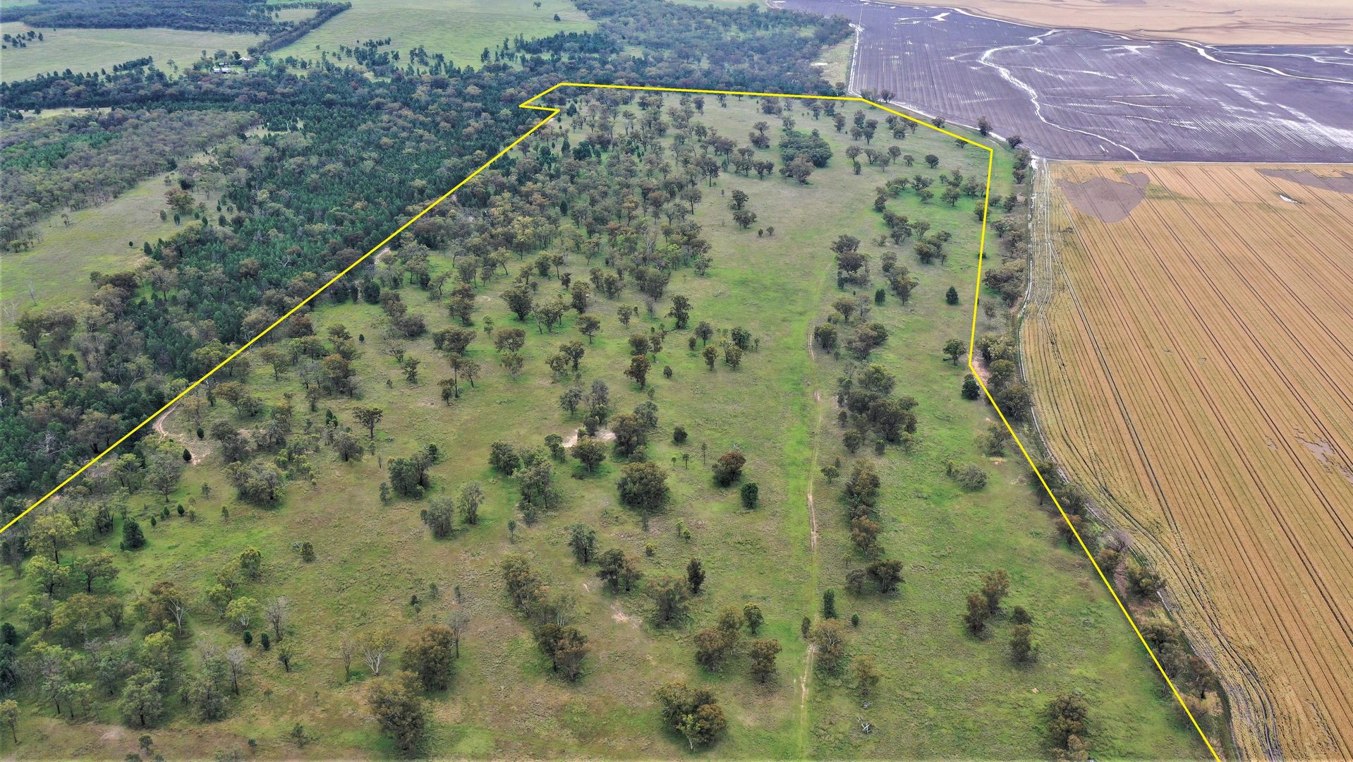 1682 Warrah Ridge Road, Quirindi NSW 2343, Image 2