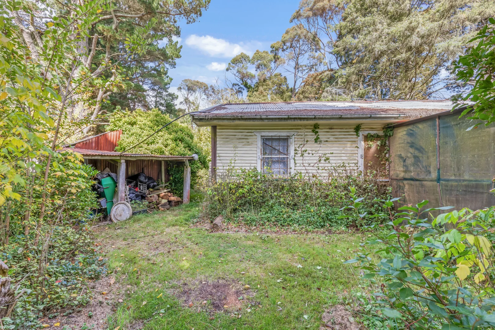 Image 9