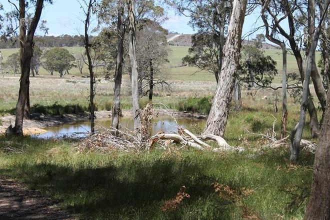 Picture of GINGKIN NSW 2787