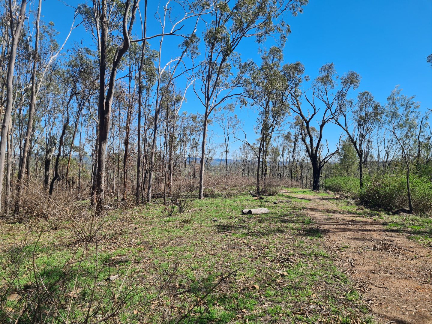 Lot 142 Pierce Creek Road, Emu Creek QLD 4355 House for Sale