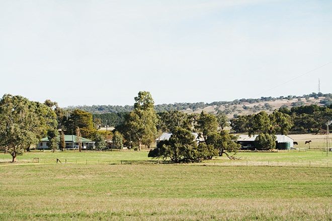 Picture of 4428 Naracoorte Road, WESTERN FLAT SA 5268