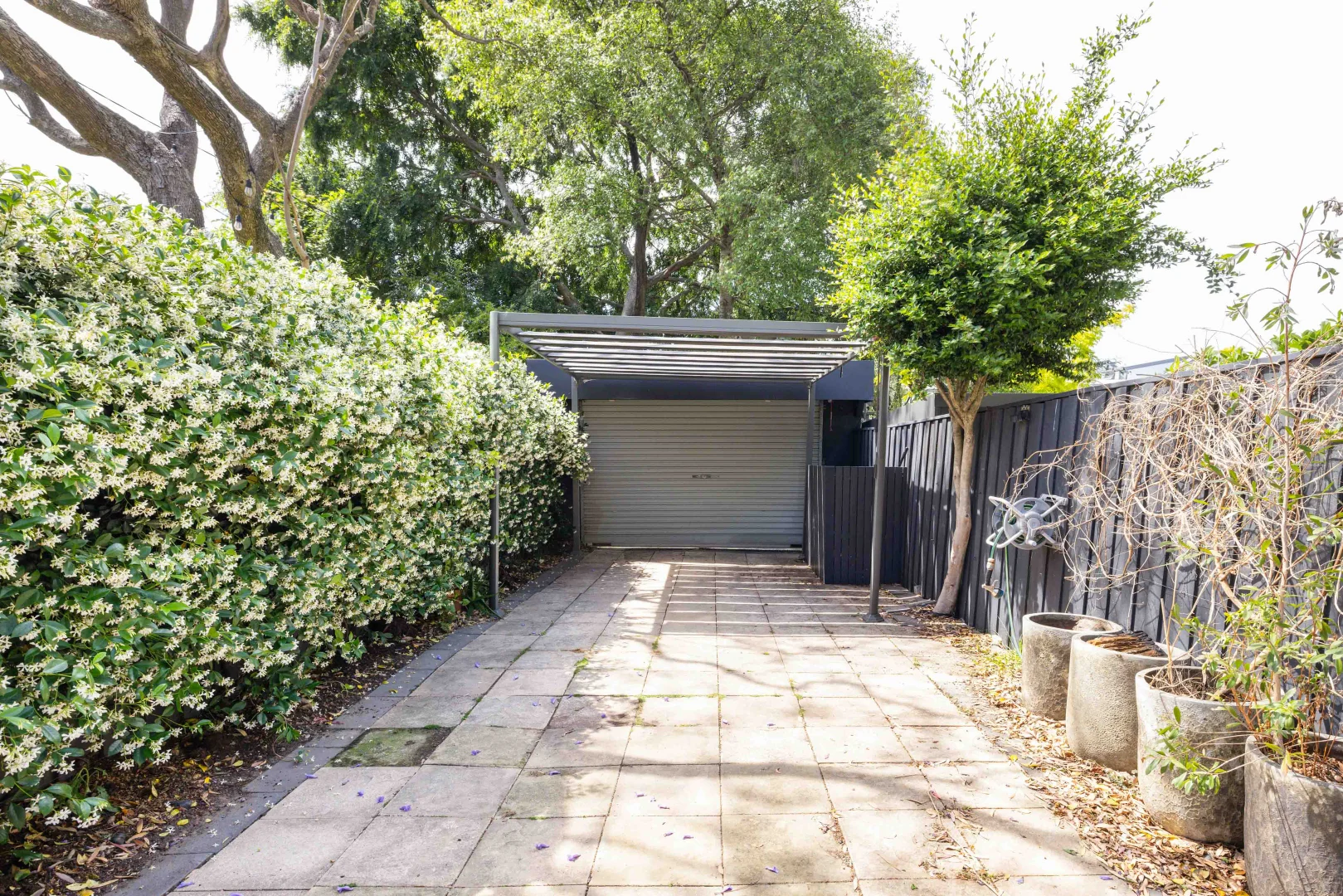 Additional image 18 of 23 Trafalgar Street, Annandale NSW 2038