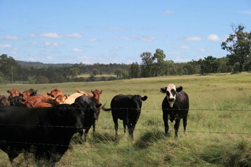 Lot 17 Kingaroy-Cooyar Road, Brooklands QLD 4615, Image 0