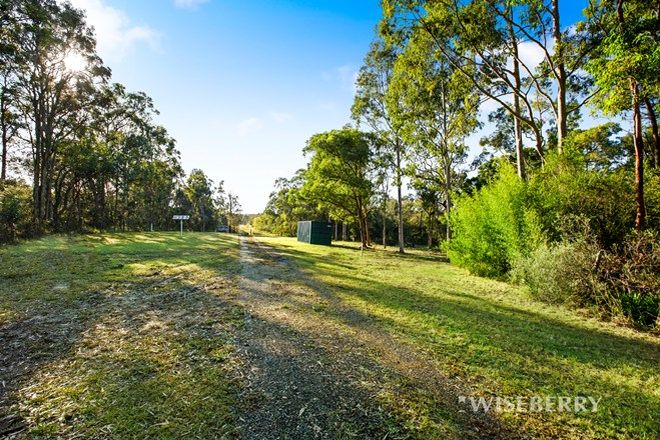 Picture of HALLORAN NSW 2259