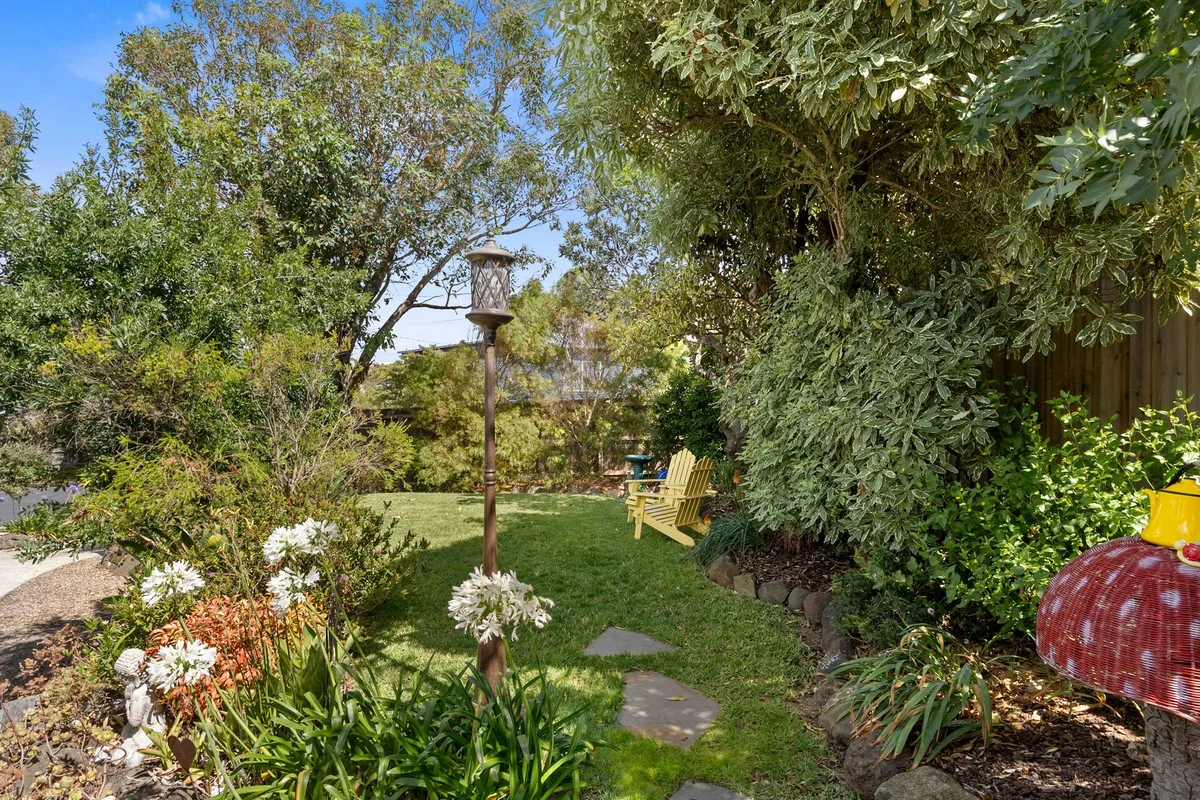 Image 20
