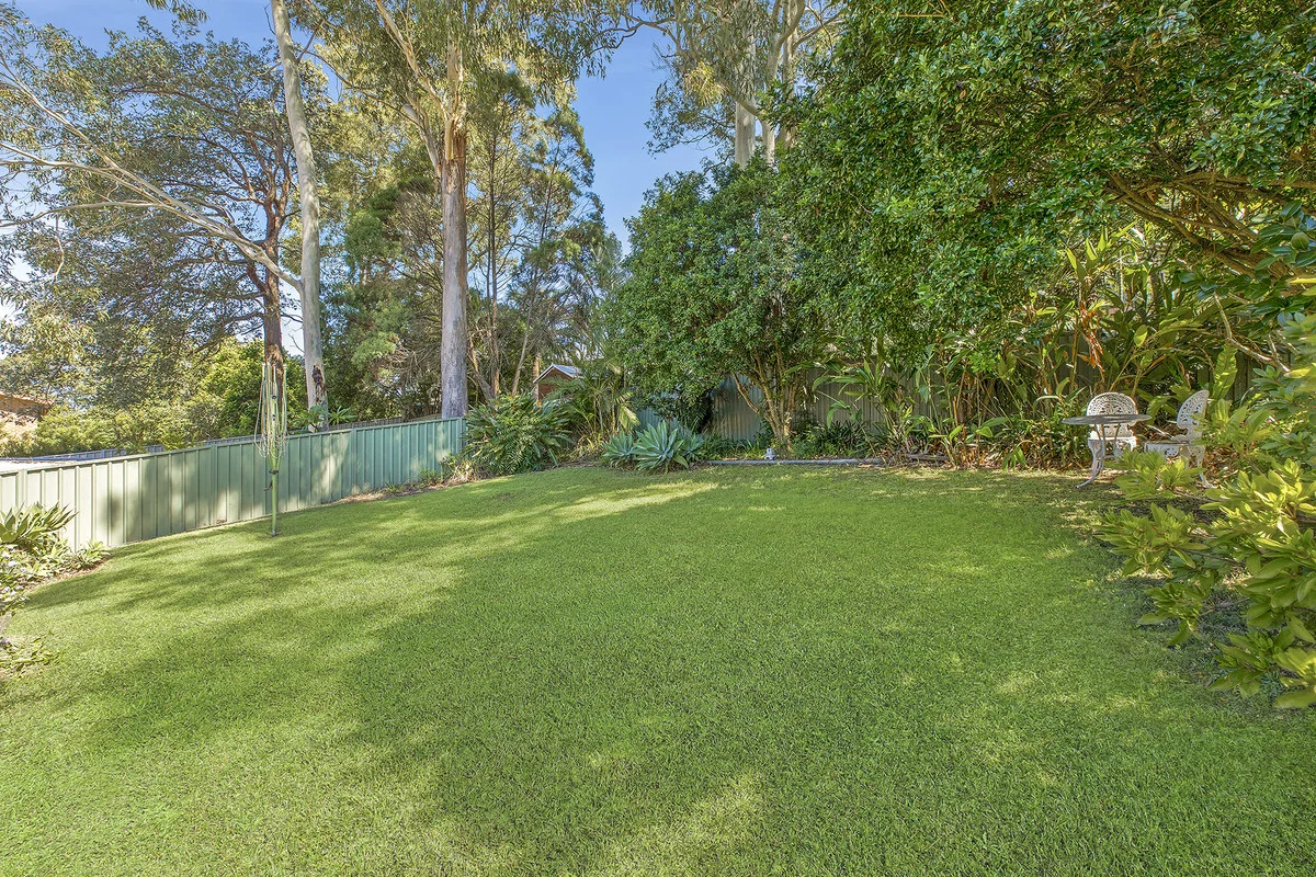 Image 12