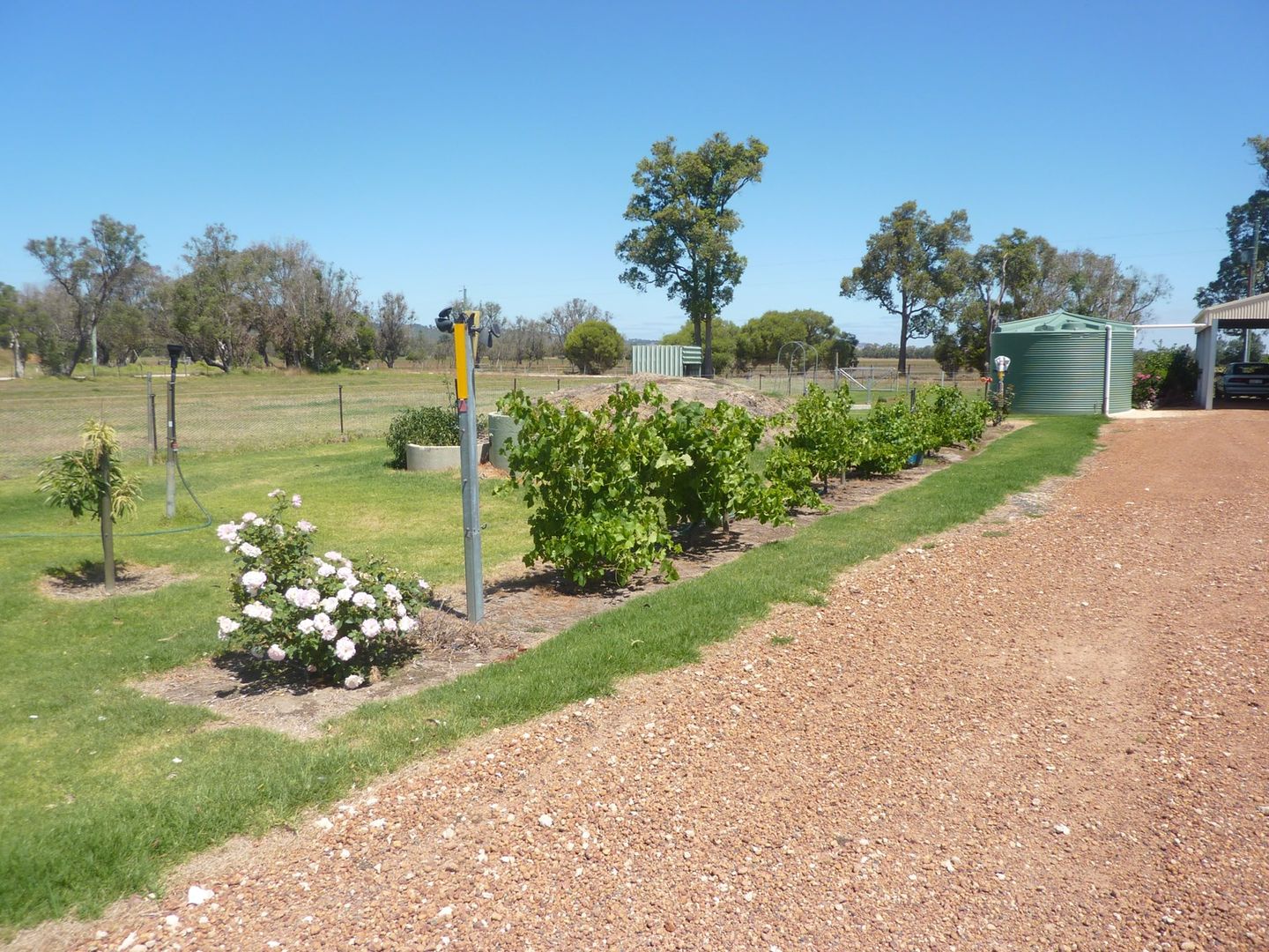 Lot 64 Hayward Street, Cookernup WA 6219, Image 2