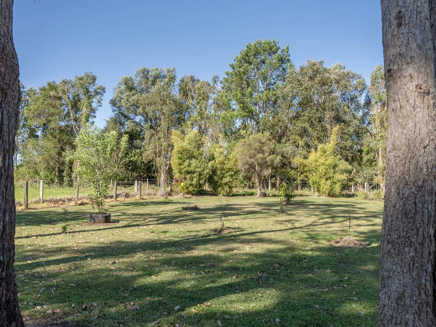 Image 23