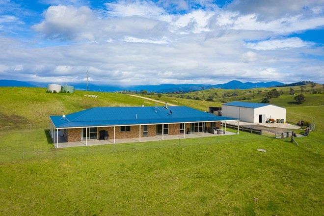 Picture of 1060 Buckajo Rd, BUCKAJO NSW 2550