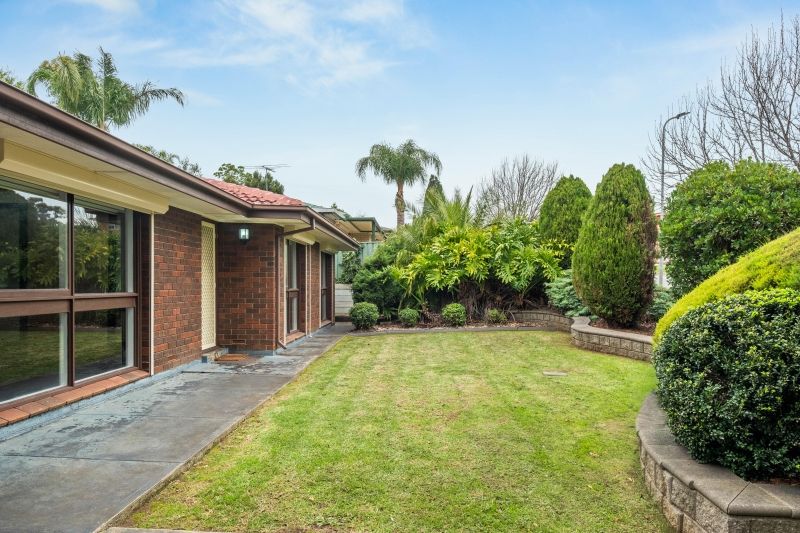 77 Casuarina Avenue, Surrey Downs SA 5126, Image 1