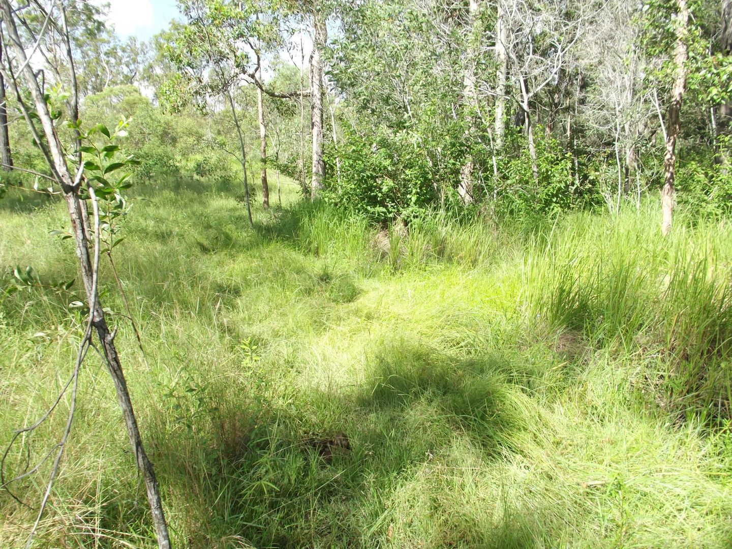 Lot 23 Corfield Drive, Booyal QLD 4671, Image 2