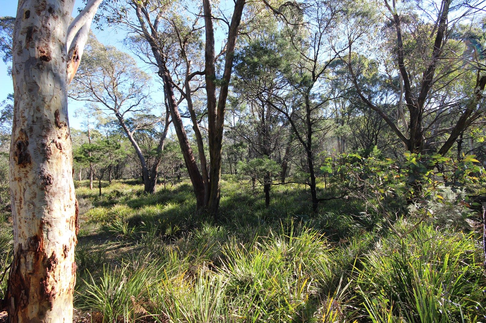 Old Mandemar Road, Berrima NSW 2577, Image 1