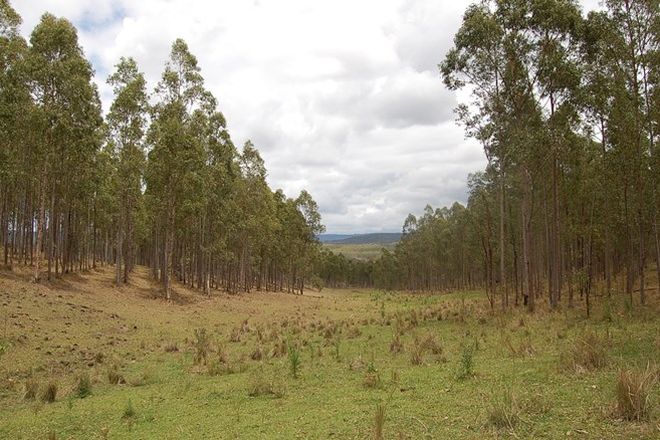 Picture of Livingstone Trentys Lane, DYRAABA NSW 2470