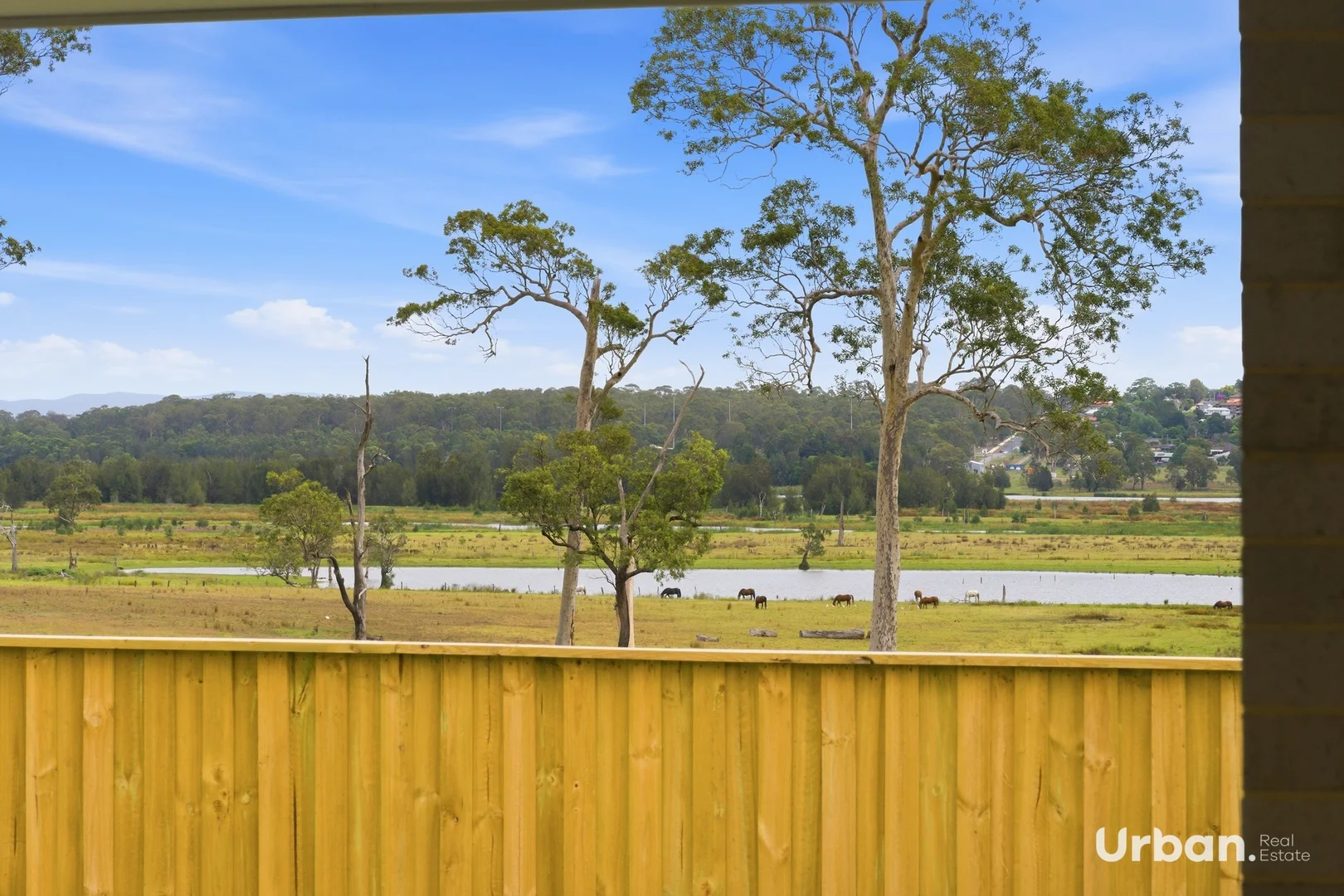 Additional image 21 of 60 Malachite Street, Chisholm NSW 2322