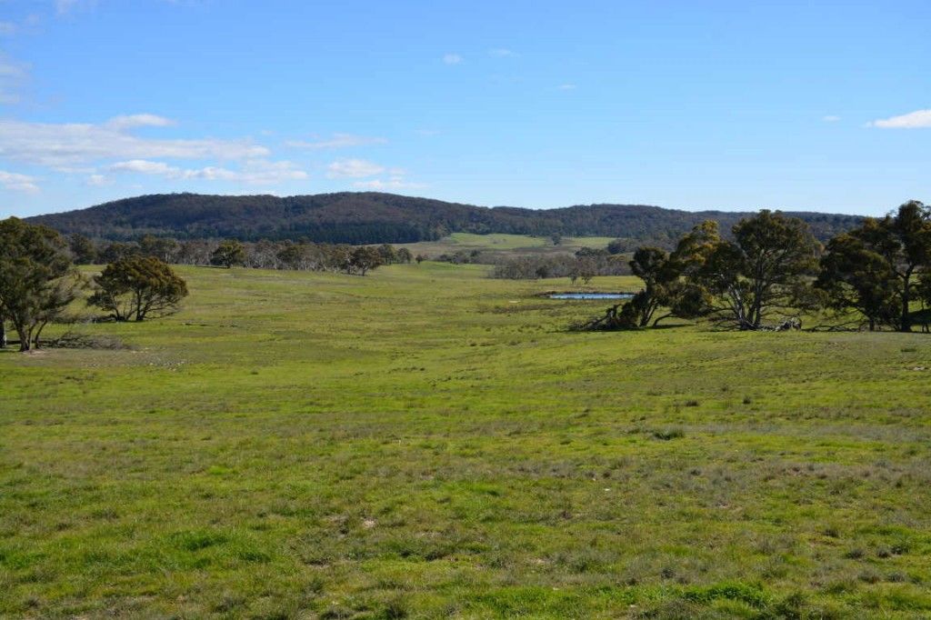 3584 Kings Highway Subdivision, Bungendore NSW 2621, Image 2