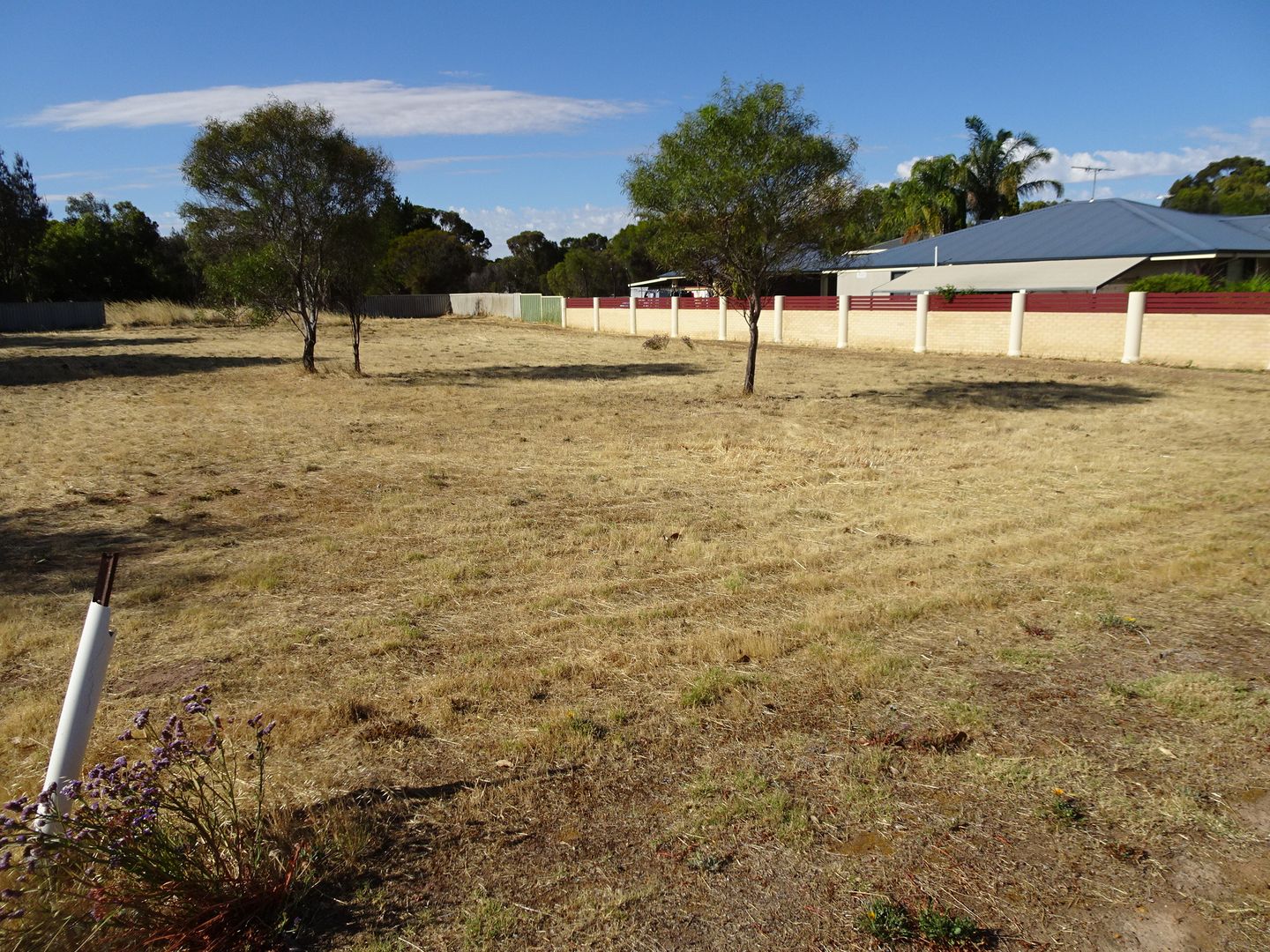 25 Nalder Street, Wagin WA 6315, Image 1