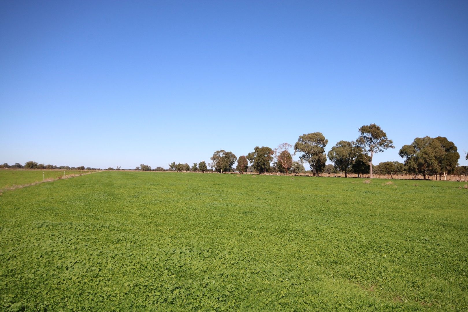 441 Johnson Road, Lockington VIC 3563, Image 0