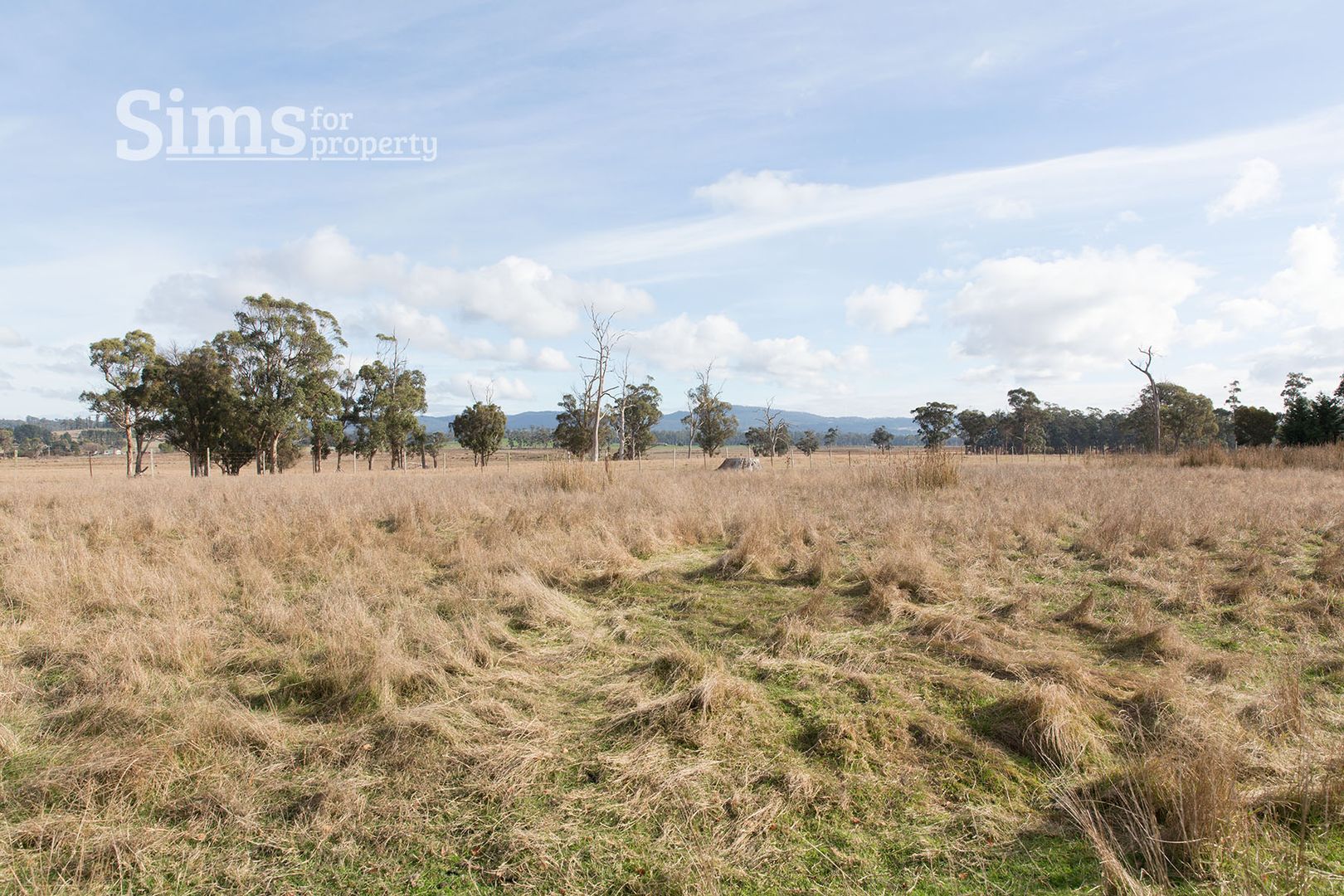 356 Frankford Road, Exeter TAS 7275, Image 1