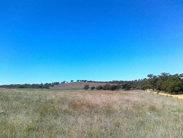 Picture of Lot 264 WIRRABARA-APPILA ROAD, WIRRABARA SA 5481