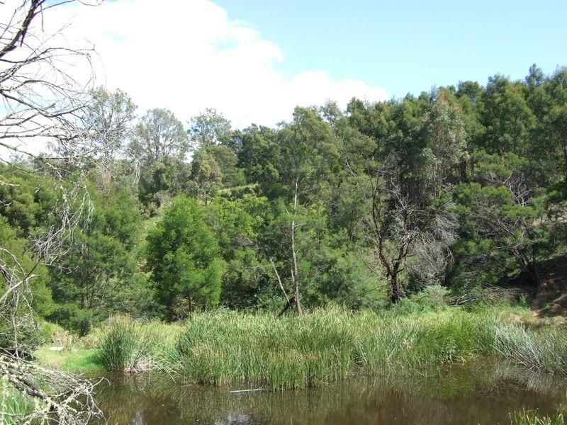 Lot 3 Israels Road, BROGO NSW 2550, Image 1