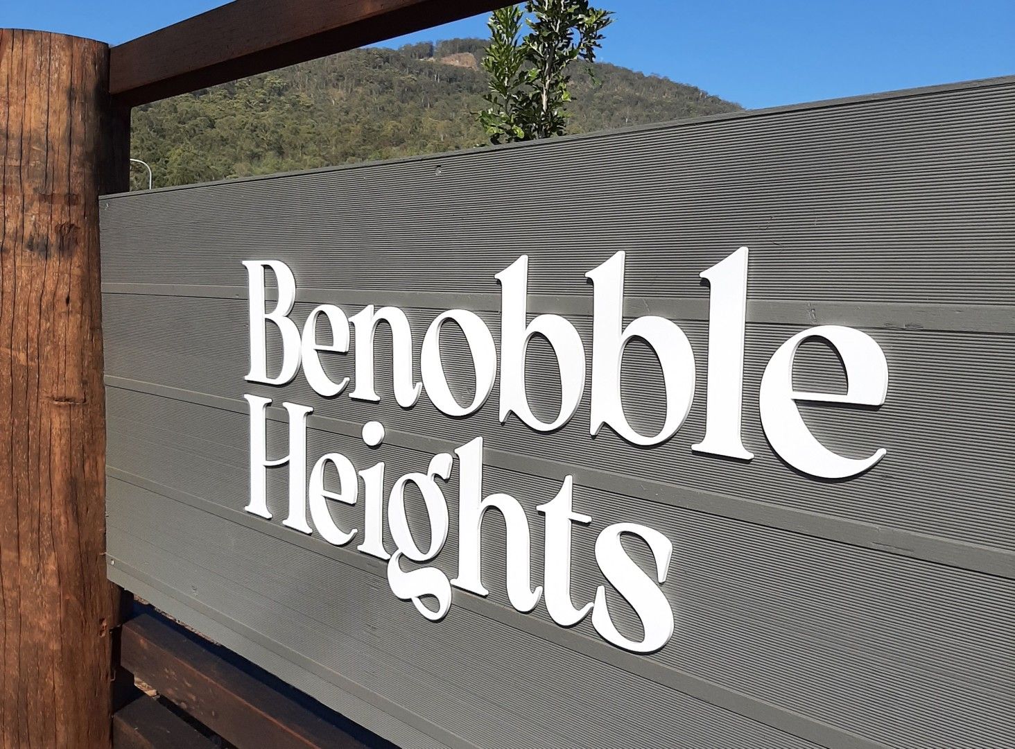 Lot 52, 2558 Beaudesert-Nerang Road, Benobble QLD 4275, Image 0