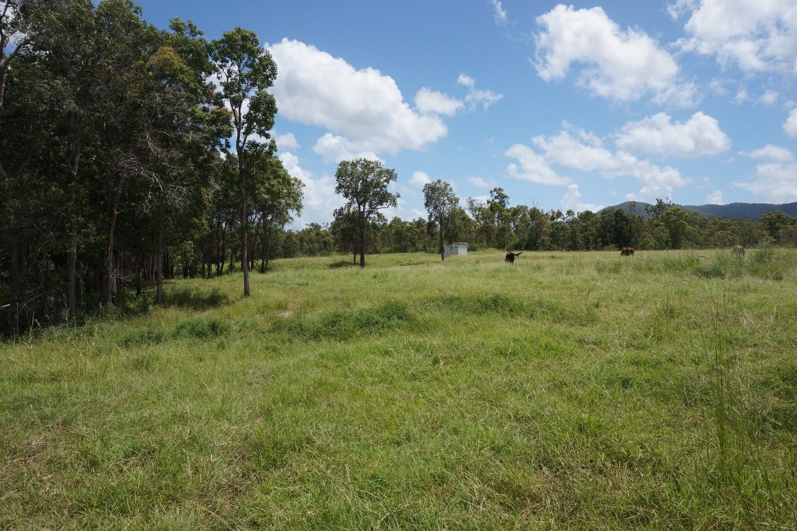 Lot 101 Ball Street, Hazledean QLD 4741, Image 1