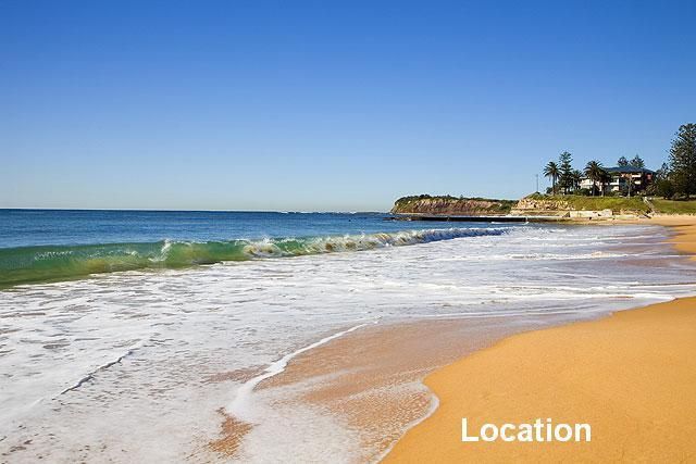 COLLAROY NSW 2097, Image 0