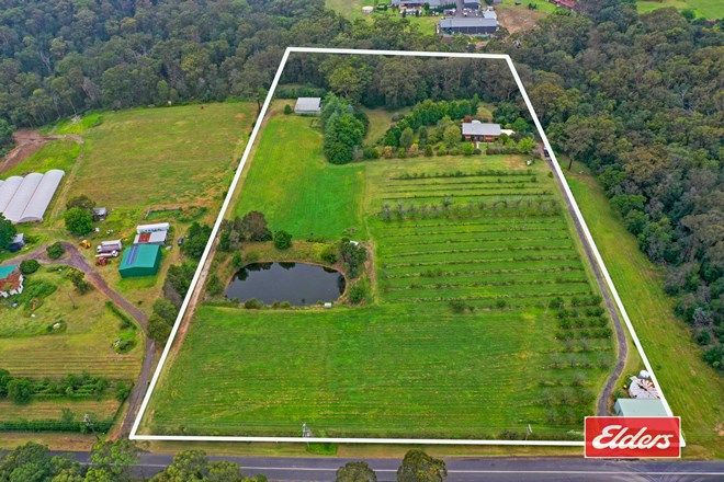Picture of 145 Fergusson Road, LAKESLAND NSW 2572