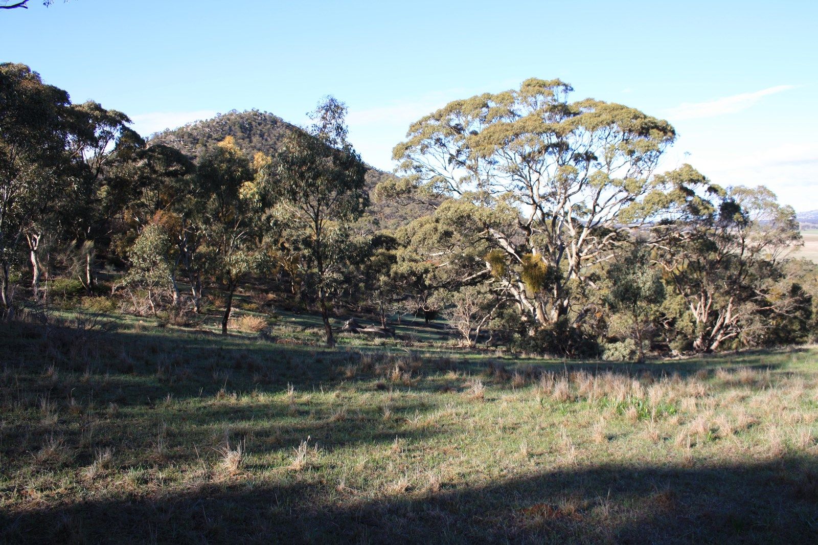 Allotment 236 Lagoon Road, Apoinga SA 5413, Image 2