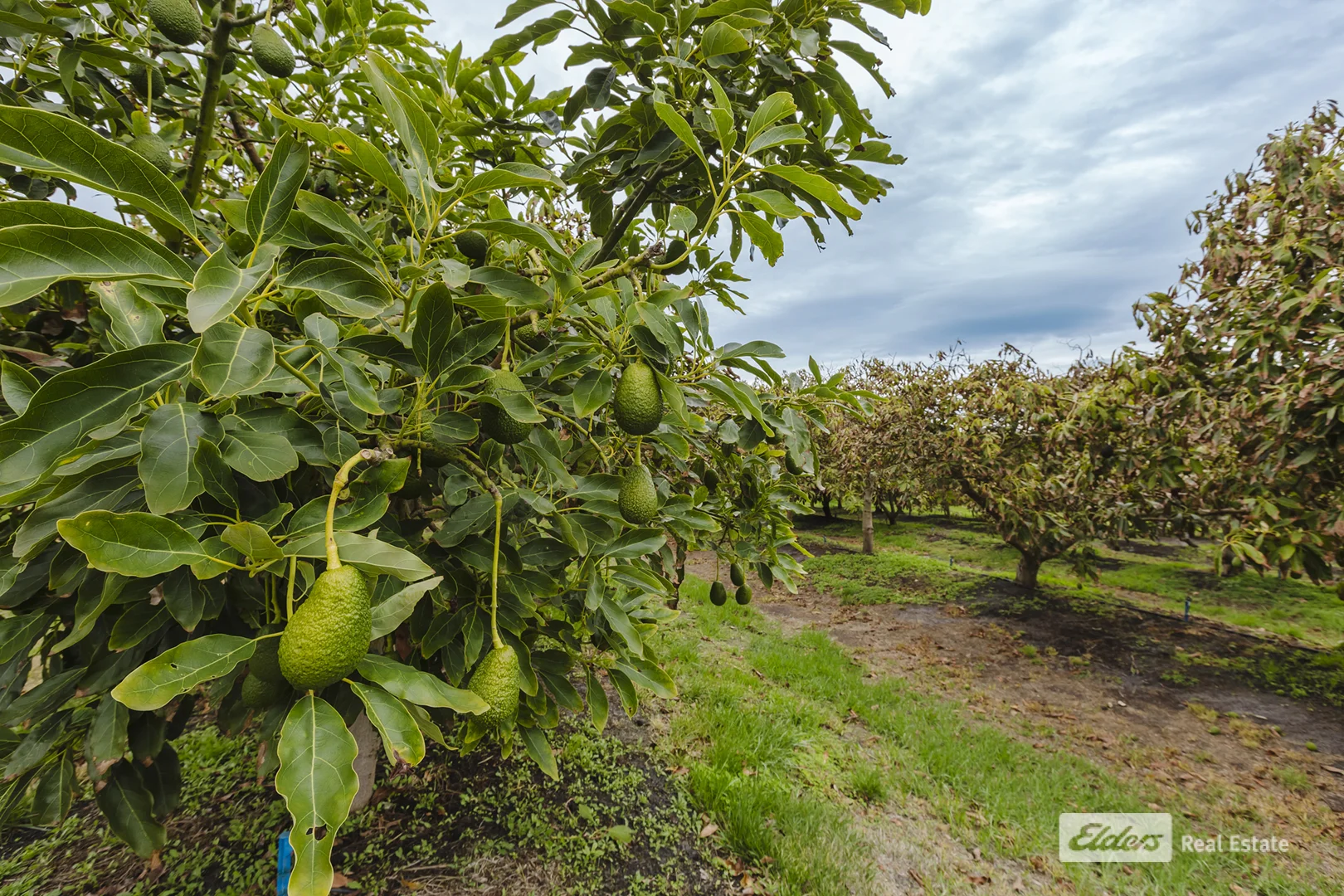 Additional image 31 of 71 Tennessee Road, Lowlands WA 6330