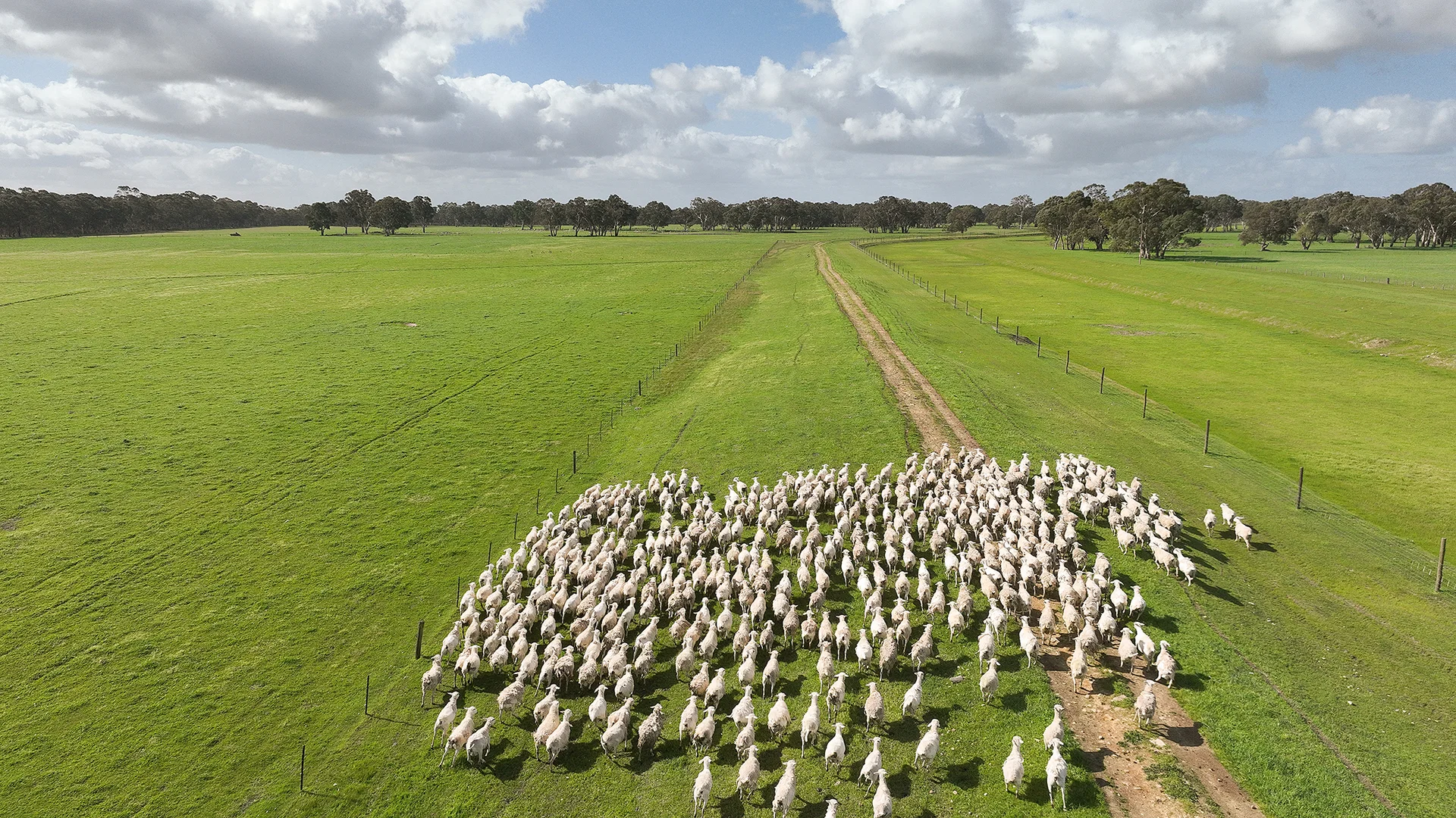 Additional image 8 of 546 Bool Lagoon West Road, Penola SA 5277