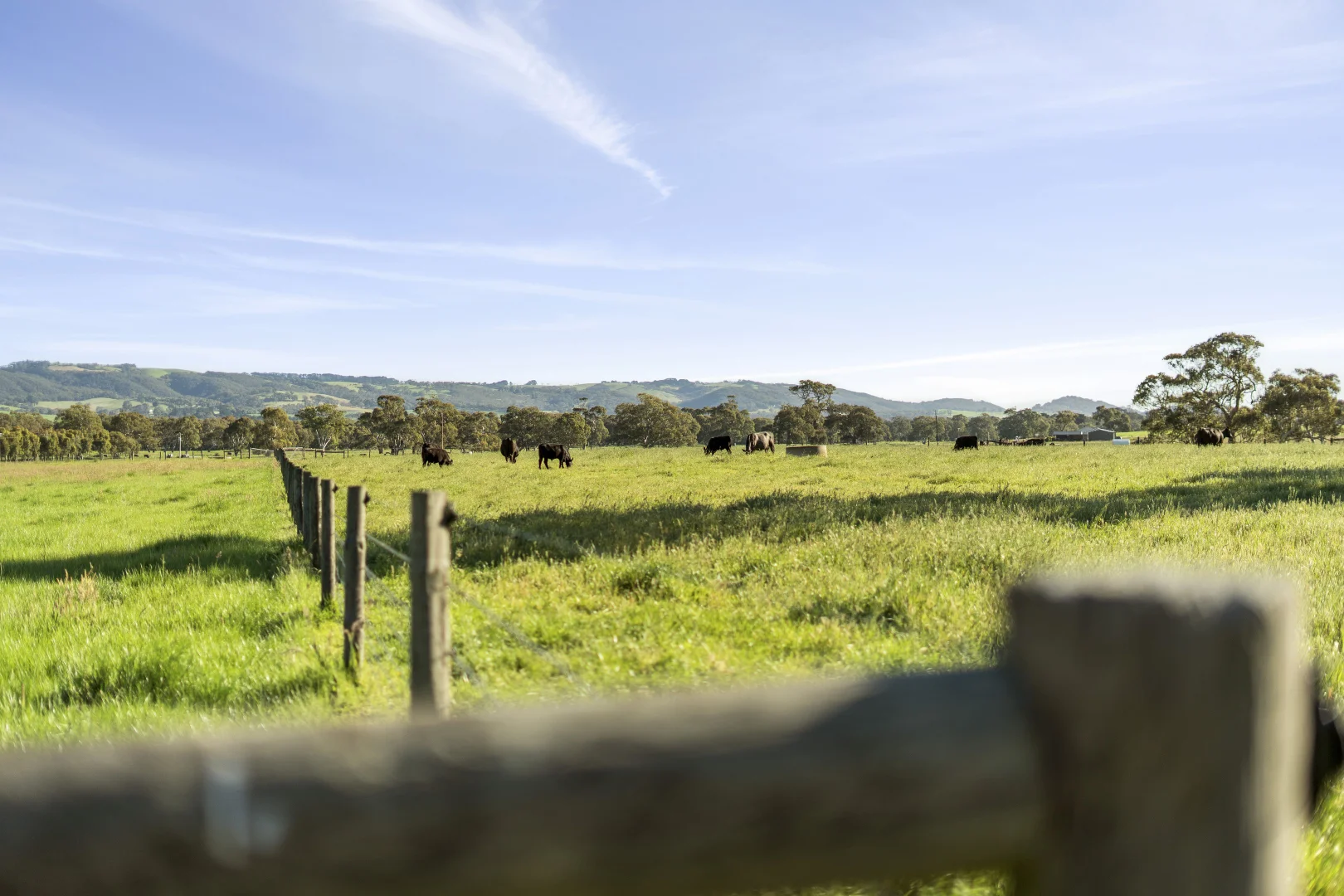 25 Higgs Road, Myponga SA 5202 - House for Sale | Domain