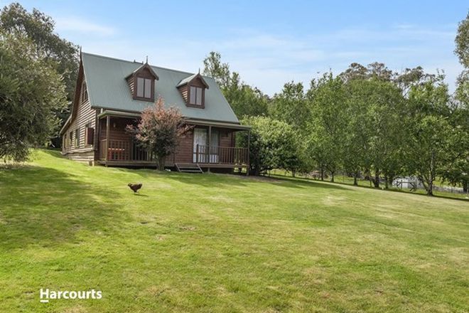 Picture of 286 Judds Creek Road, JUDBURY TAS 7109