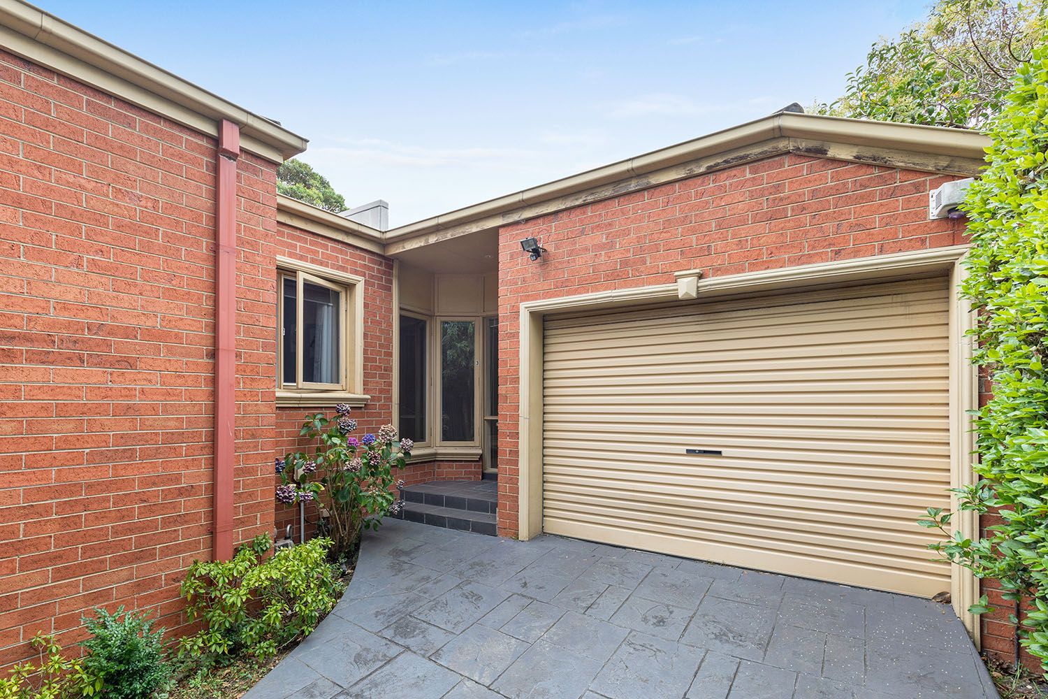 3/86 Thomas Street, Brighton East Property