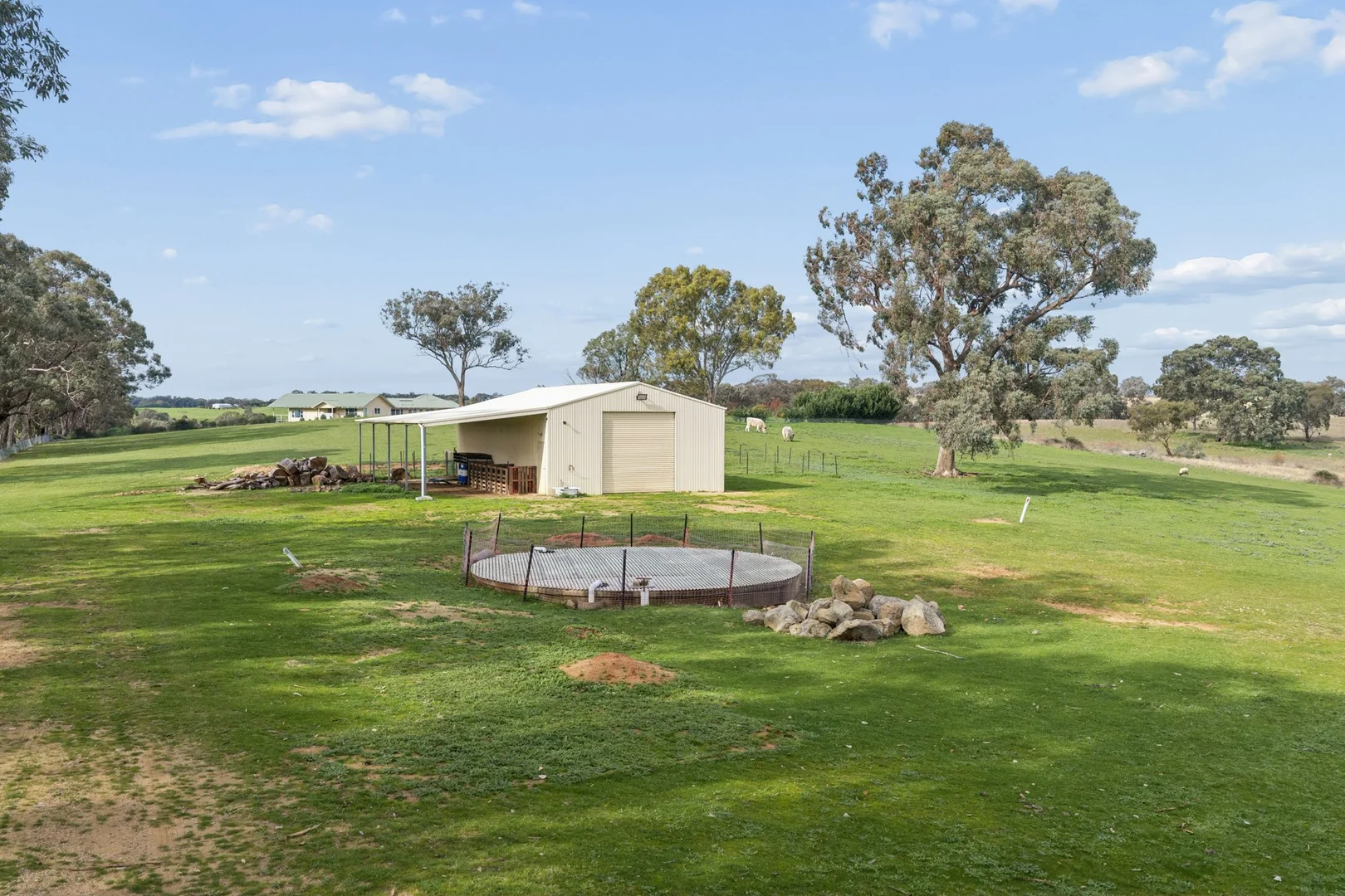 Image 23