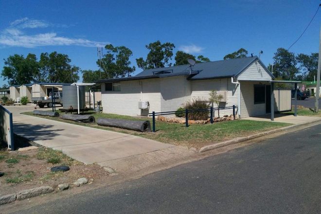 Picture of 20 Wambo Street, CONDAMINE QLD 4416