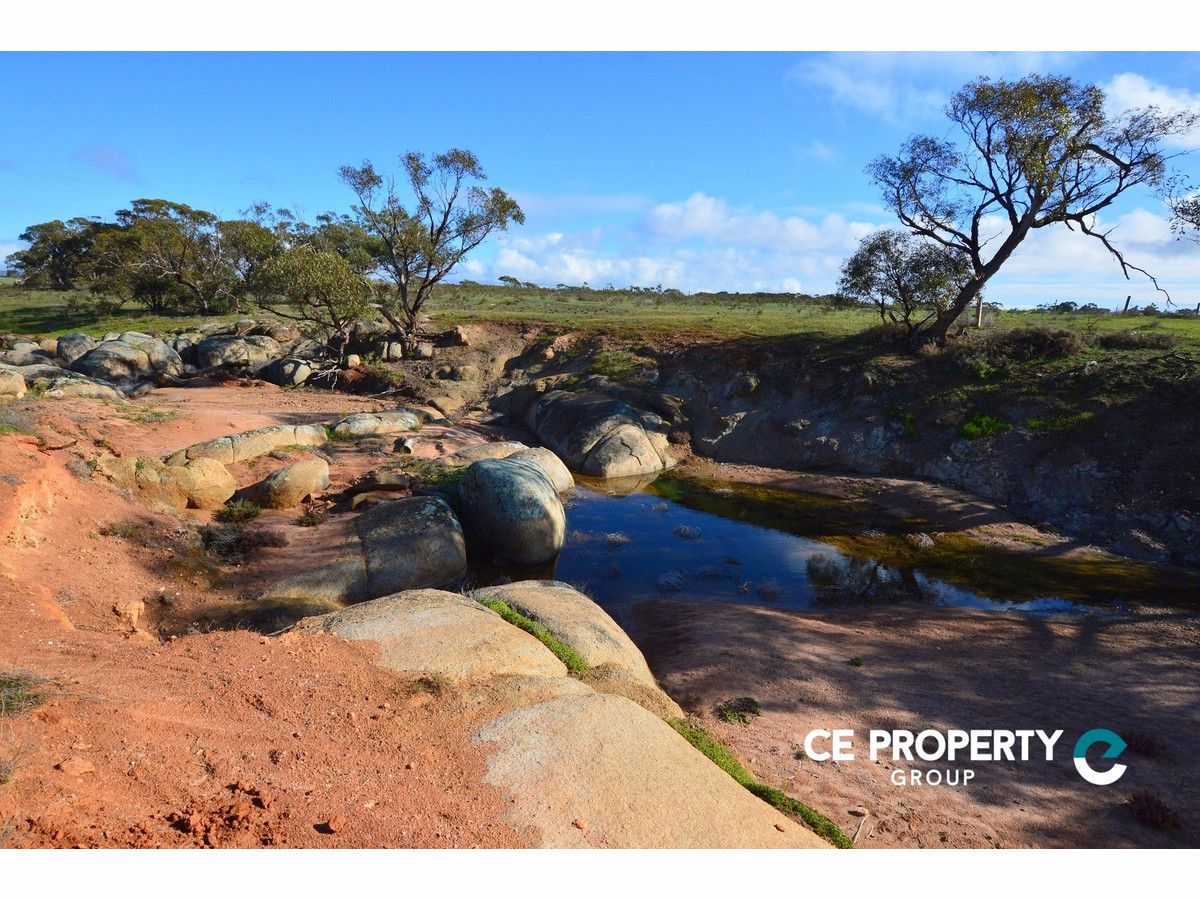 678 Huttons Road, Frayville SA 5238, Image 2