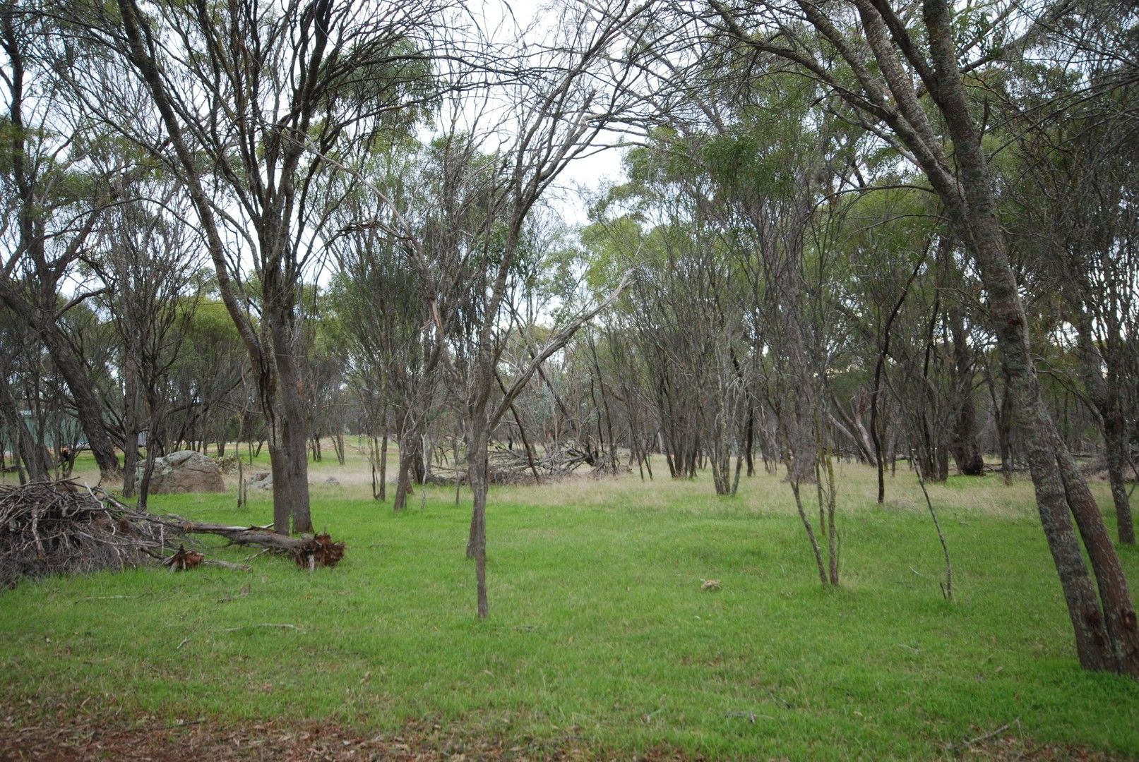 Lot 136 Brundell Street, Cuballing WA 6311, Image 0