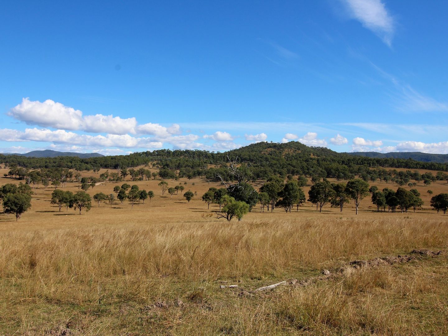 Lot 2 Morden Road, Biarra QLD 4313, Image 2