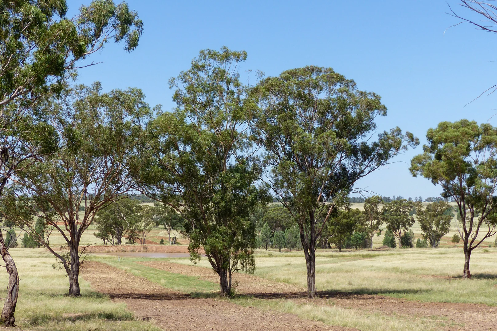 Additional image 12 of 19R Rosedale Road, Dubbo NSW 2830