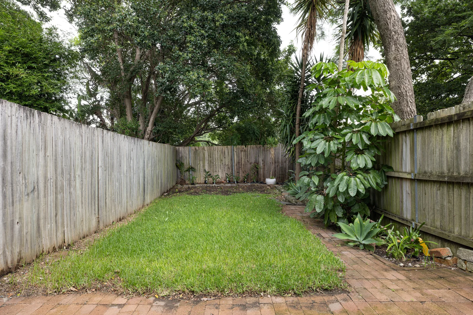 Additional image 13 of 44a Rosser Street, Rozelle NSW 2039
