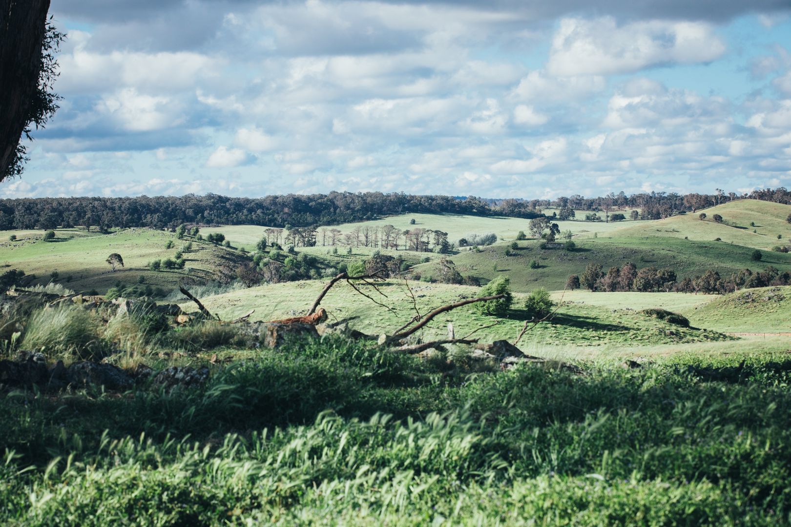 3 The Lookdown Road, Bungonia NSW 2580, Image 2