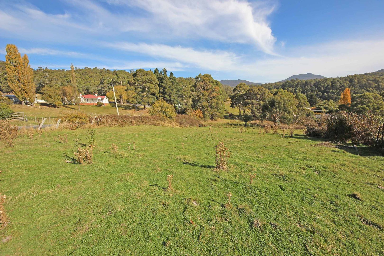 580 Collinsvale Road, COLLINSVALE TAS 7012, Image 2