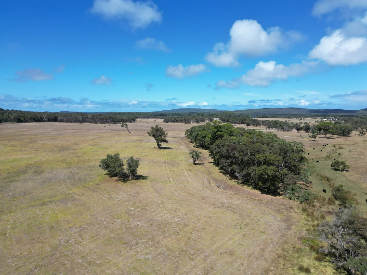 Additional image 3 of Denmark WA 6333