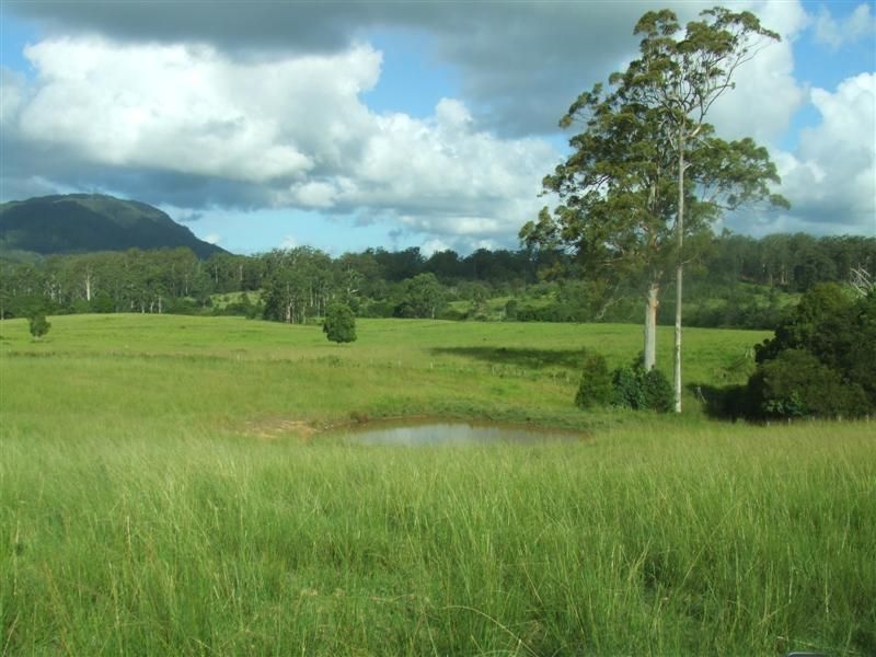 EUNGAI CREEK NSW 2441, Image 0