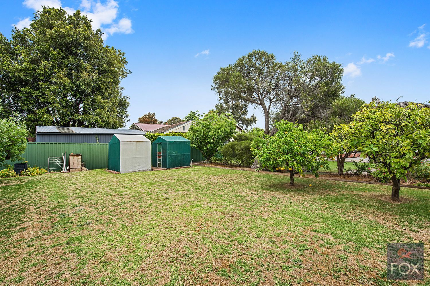 50 Myall Avenue, Kensington Gardens SA 5068, Image 2