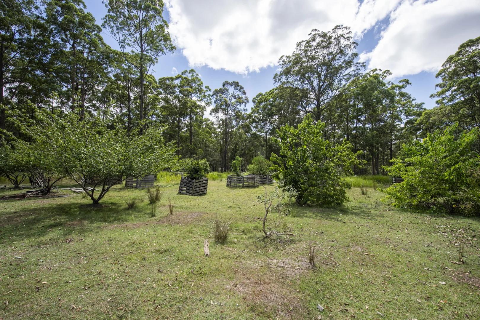 Image 14