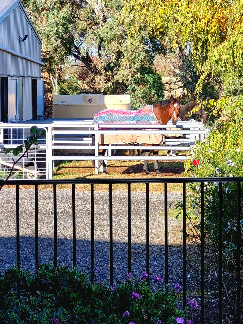 Additional image 17 of 5 STRINGYBARK PLACE, Manton NSW 2582