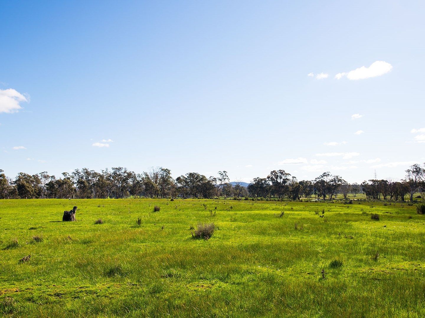 2 Cnr Muckleford-Walmer & Troy Road, Walmer VIC 3463, Image 0